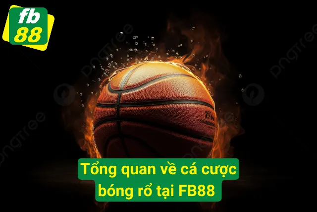 Cá Cược Bóng Rổ FB88 - Trải Nghiệm Giải Trí Đỉnh Cao Tổng quan về bộ môn cá độ bóng rổ