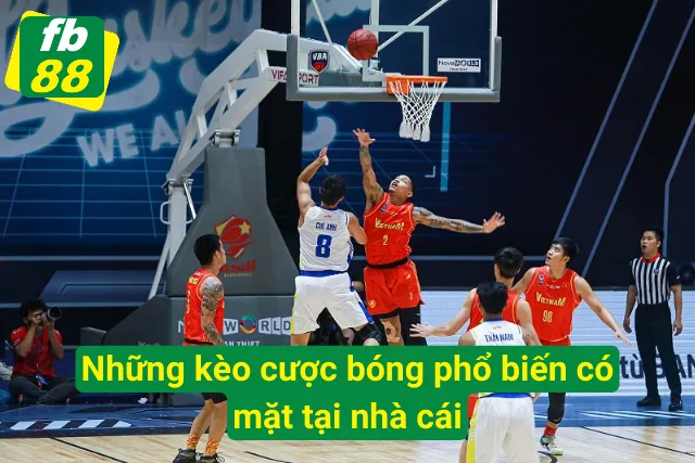 Cá Cược Bóng Rổ FB88 - Trải Nghiệm Giải Trí Đỉnh Cao Tổng hợp những kèo cược bóng rổ được yêu thích nhất